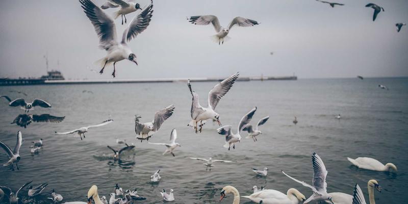 2024年国产独立手游之光：小小堂游戏带你发现小而美的创意世界与实用攻略