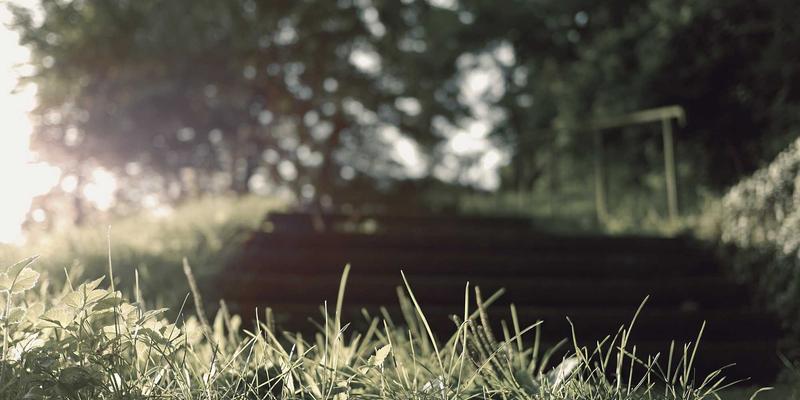 2024年最值得长期玩的手游盘点：从游戏攻略到深度资讯，这5款耐玩神作不容错过