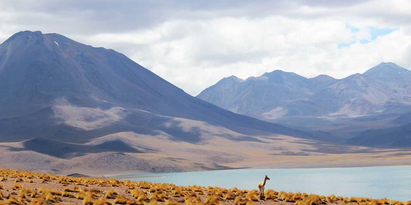 2024年音游节奏游戏推荐：从入门到触手必玩清单 | 小小堂游戏资讯