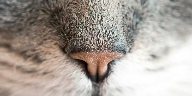 2024必玩手游推荐第三弹：攻略资讯一网打尽，解锁你的移动游戏新体验