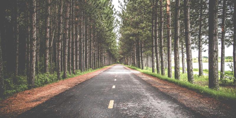 上班族摸鱼必备：精选休闲益智手游攻略与高效时间管理技巧