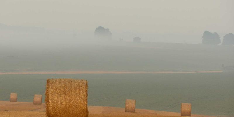 不联网也能玩！小小堂游戏珍藏单机手游推荐与深度评测