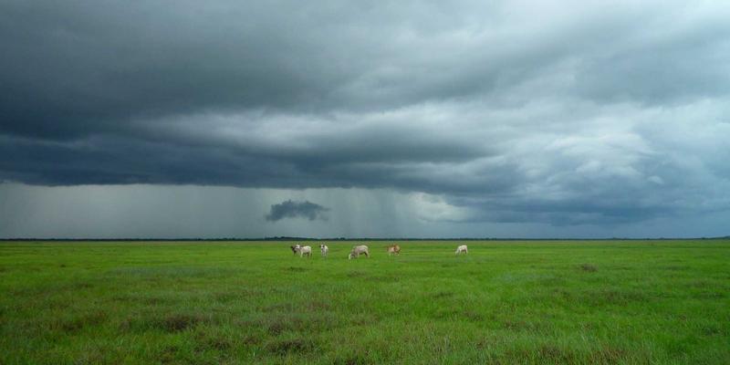 小小堂游戏深度评测：2024年不容错过的精品手游推荐