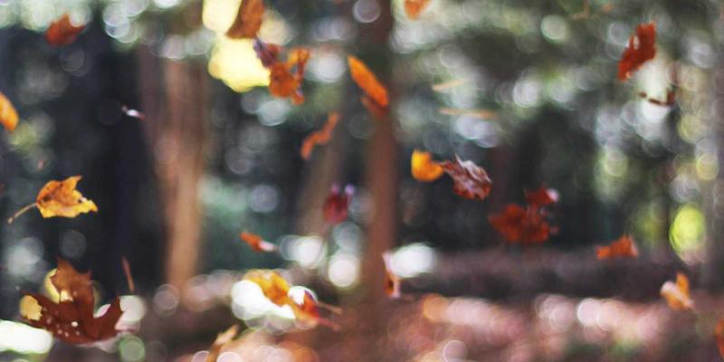 小小堂游戏精选：无需联网的单机剧情向手游神作推荐