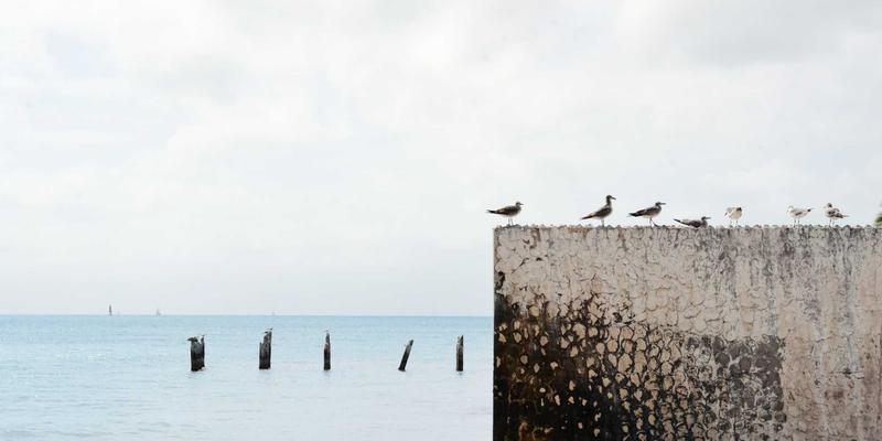 小小堂游戏资讯：探索被低估的叙事驱动型手游，重拾互动故事的情感震撼