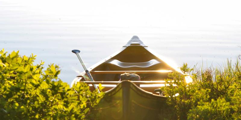 手游推荐79：小小堂游戏精选与深度攻略，解锁你的移动娱乐新体验