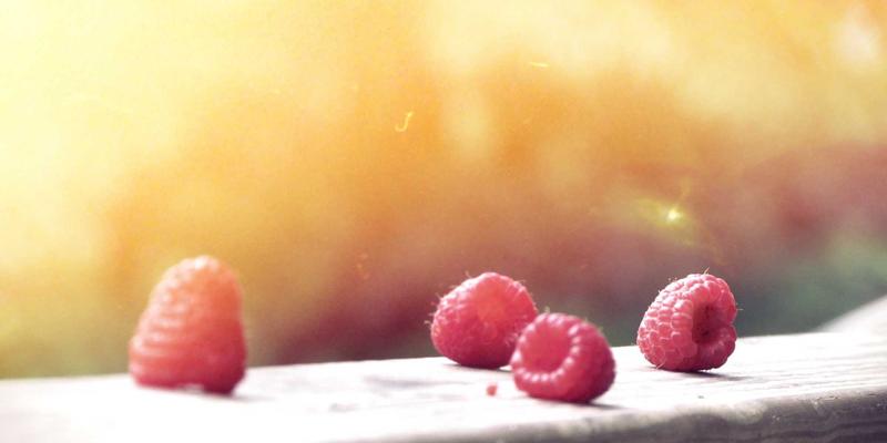 手游推荐87：小小堂游戏精选攻略，解锁你的手机游戏新体验