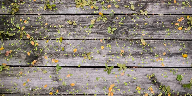 手游推荐怎么用？从海量游戏中精准找到你的心头好