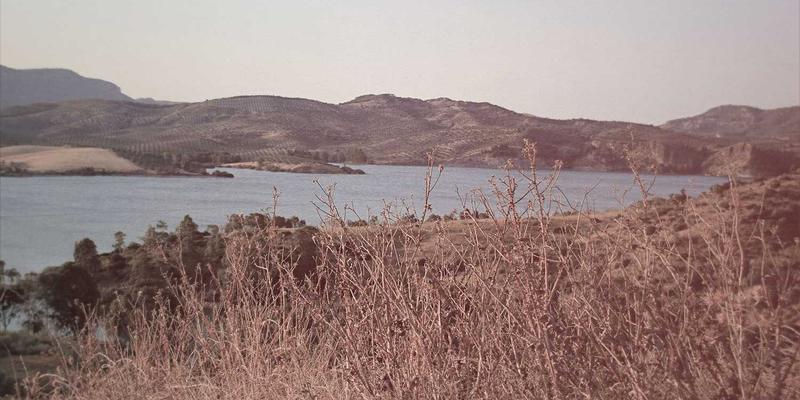 手游推荐：手机上也能玩到的3A级大作，画面与剧情堪比主机游戏的顶级体验