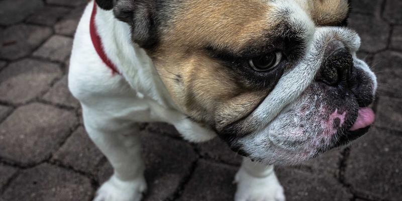 手游推荐技巧：从海量游戏中找到你的本命游戏