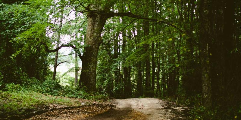 手游推荐是什么？解锁移动游戏世界的导航指南