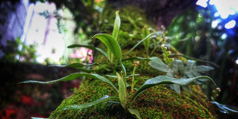 手游推荐：高自由度开放世界生存手游终极指南 | 小小堂游戏攻略