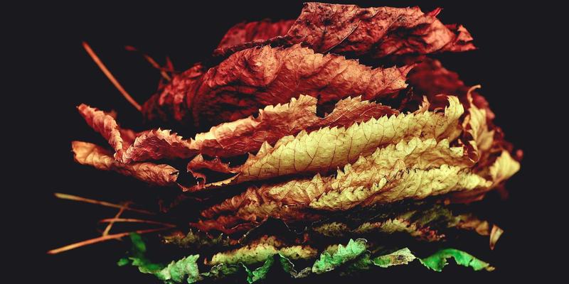 音乐节奏类手游终极合集：指尖舞动，享受视听双重盛宴 | 小小堂游戏推荐